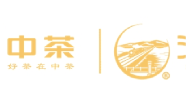“海堤茶庄”热潮再起！打造茶叶零售新模式