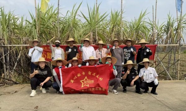 世茂服务东南｜“蔗”里传递温暖，甜进万家心间